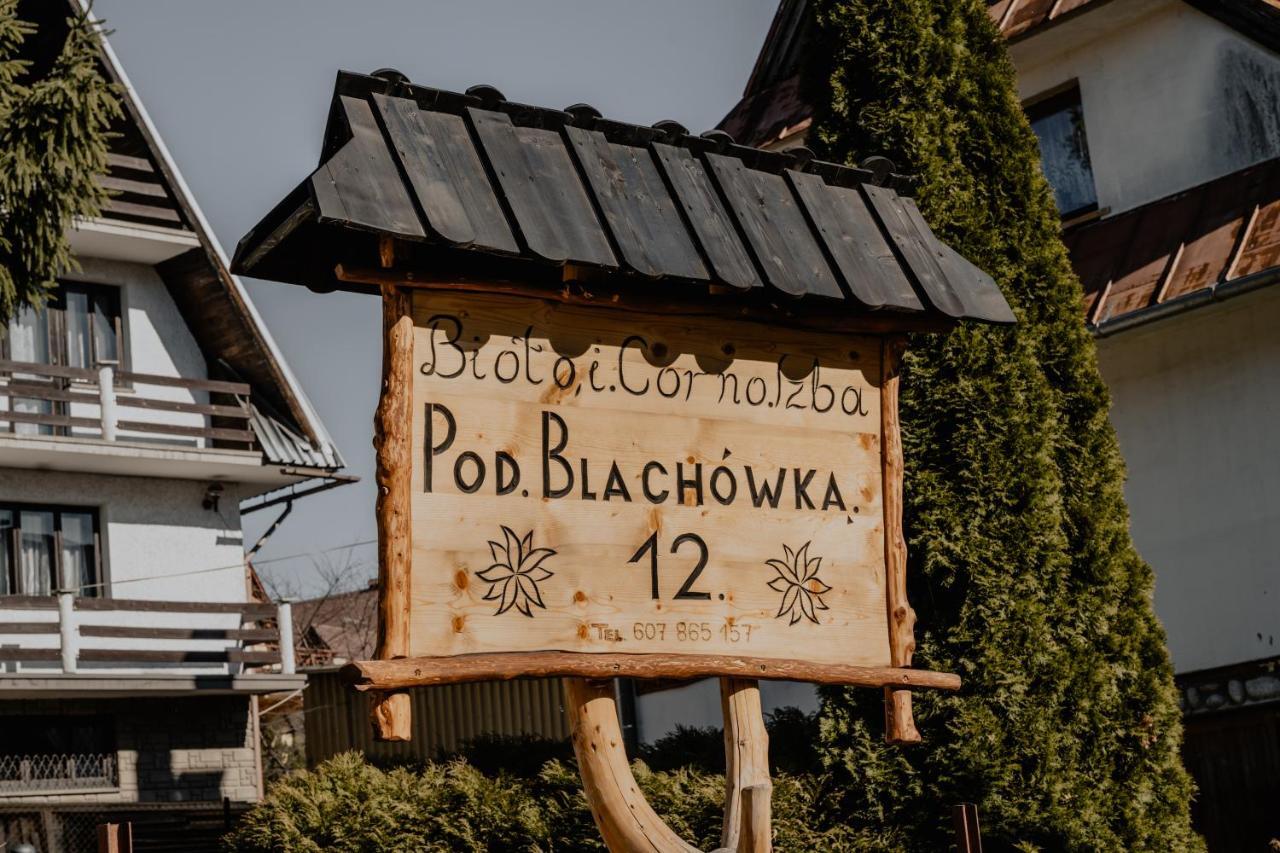 Biolo I Corno Izba Mountain Chalets Koscielisko Exterior photo
